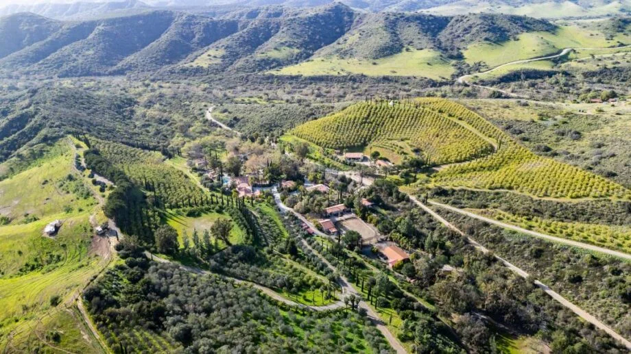 Dick Marconi's 1,225-acre California estate includes zebras