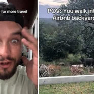 Alex Zarini had been in South Africa for one hour when a mob of exotic animals stampeded through his Airbnb garden