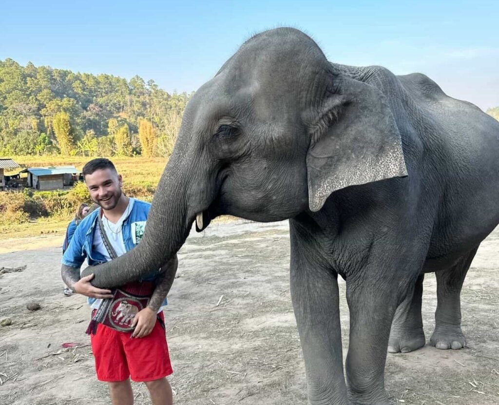 Alex Zarini had been in South Africa for one hour when a mob of exotic animals stampeded through his Airbnb garden