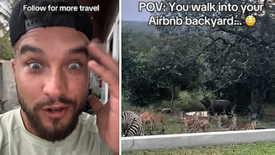 Alex Zarini had been in South Africa for one hour when a mob of exotic animals stampeded through his Airbnb garden