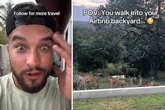 Alex Zarini had been in South Africa for one hour when a mob of exotic animals stampeded through his Airbnb garden