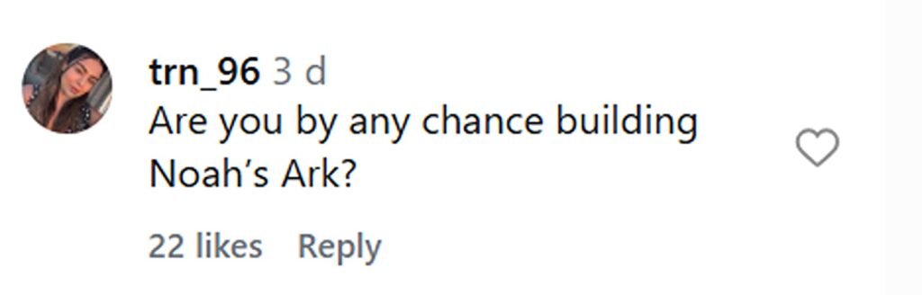 Alex Zarini had been in South Africa for one hour when a mob of exotic animals stampeded through his Airbnb garden