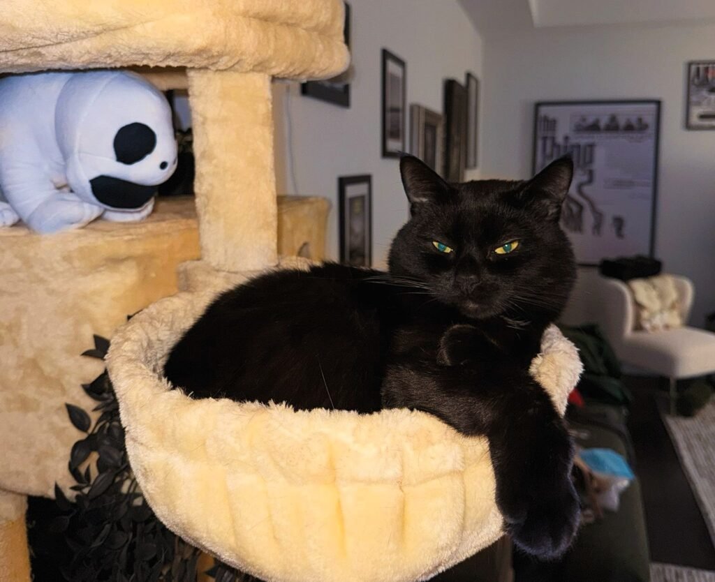 model Louisa Khovanskis cat