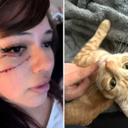 Vanessa Contreras Ruiz, 19, woke up bleeding after her cat Otis pushed off her face while she slept