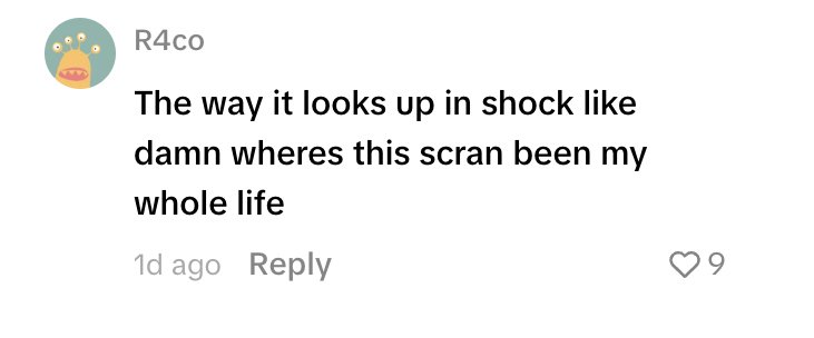 Social media comment on the post