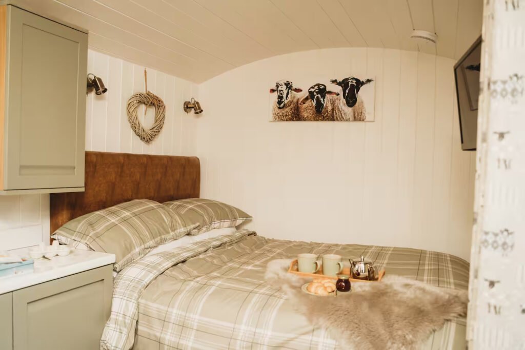 A shepherd's hut Airbnb in Derbyshire sits right next to the field where Clarkson's Farm star Harriet Cowan grazes her cattle