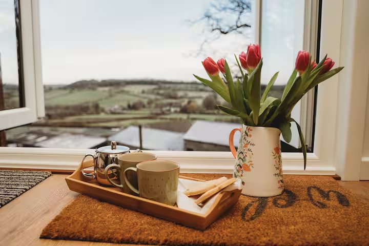 A shepherd's hut Airbnb in Derbyshire sits right next to the field where Clarkson's Farm star Harriet Cowan grazes her cattle