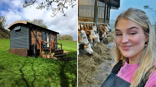 A shepherd's hut Airbnb in Derbyshire sits right next to the field where Clarkson's Farm star Harriet Cowan grazes her cattle