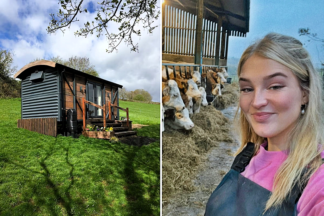 A shepherd's hut Airbnb in Derbyshire sits right next to the field where Clarkson's Farm star Harriet Cowan grazes her cattle