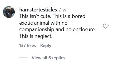 Social media comment on the post