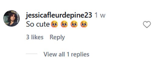 Social media comment on the post