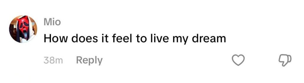 Social media comment on the post