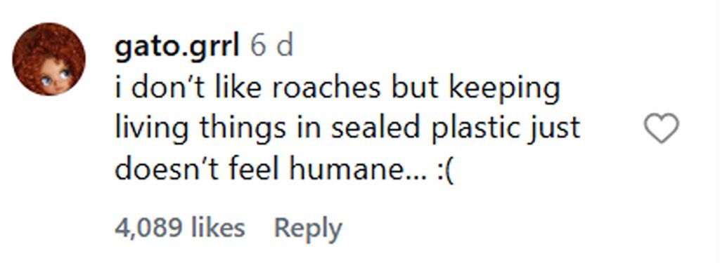 Social media comment on the post