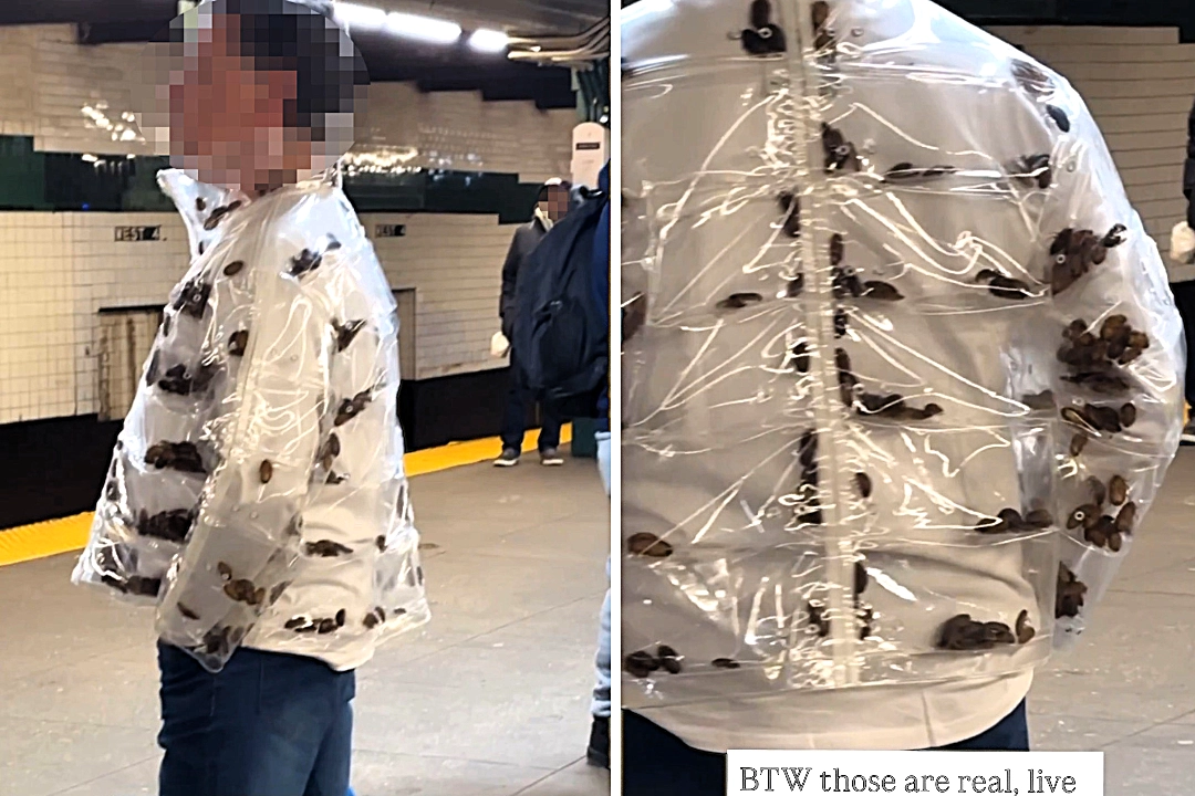 A commuter in New York was spotted wearing a transparent jacket filled with live cockroaches on a subway platform