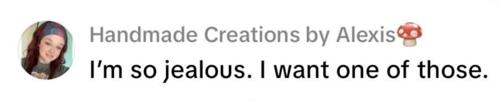 Social media comment on the post