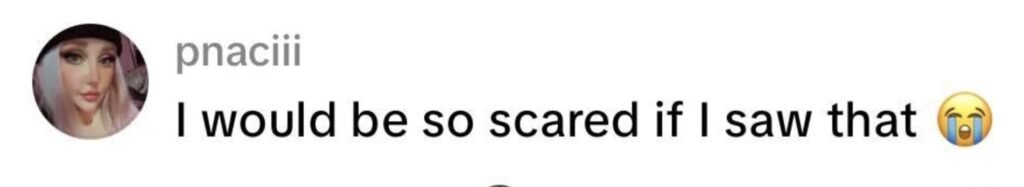 Social media comment on the post