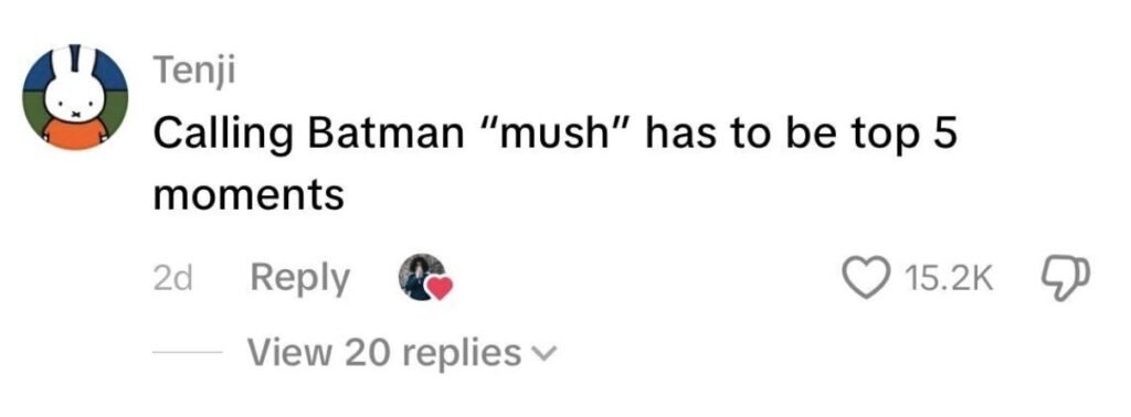 Social media comment on the post