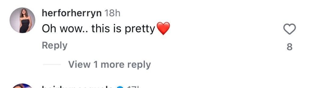 Social media comment on the post