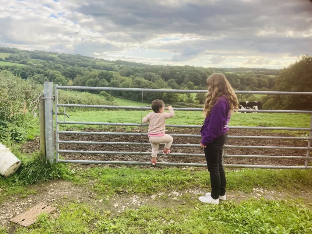 A London family bought a Devon cottage without viewing it after redundancy forced their hand