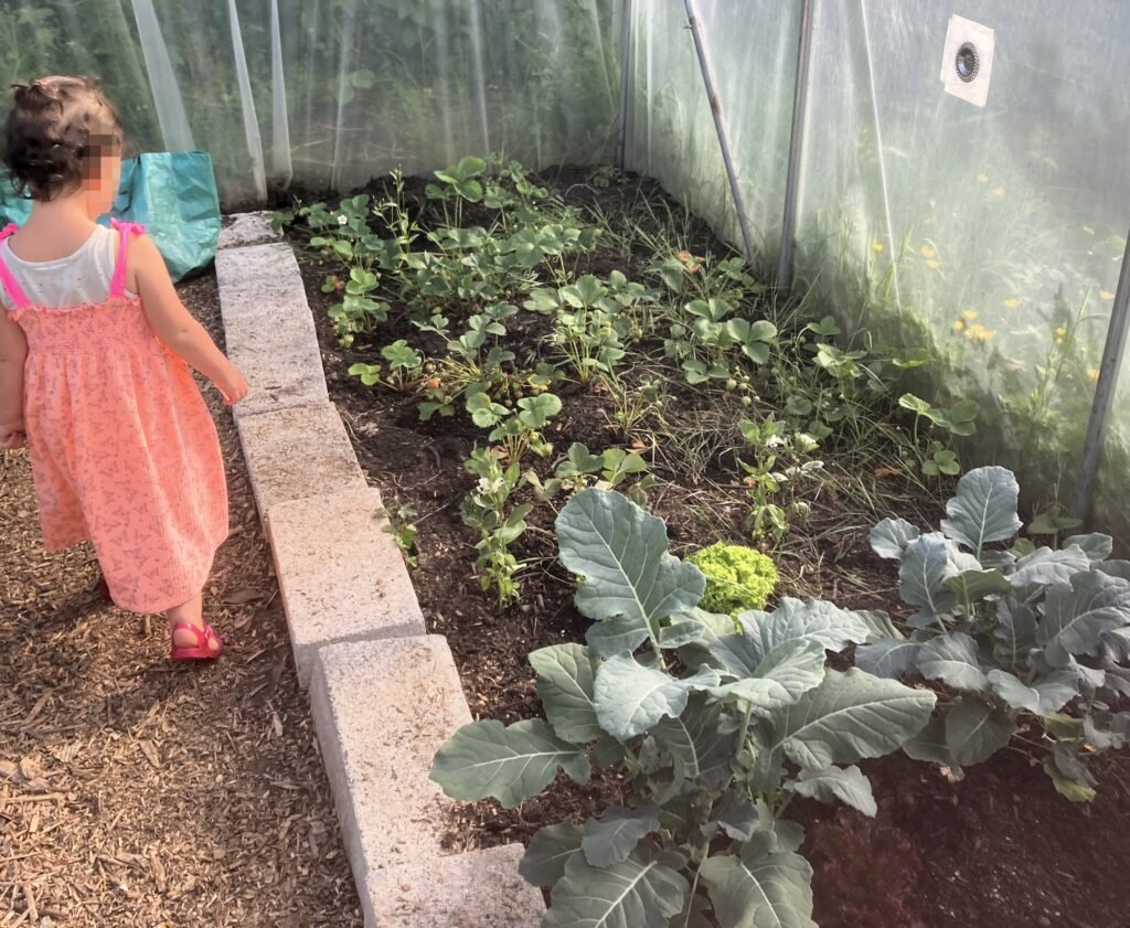 A London family bought a Devon cottage without viewing it after redundancy forced their hand