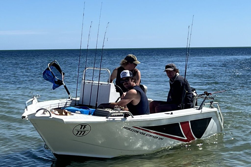 A five-metre great white shark circled a tiny fishing boat three times off the South Australian coast