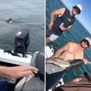 A five-metre great white shark circled a tiny fishing boat three times off the South Australian coast