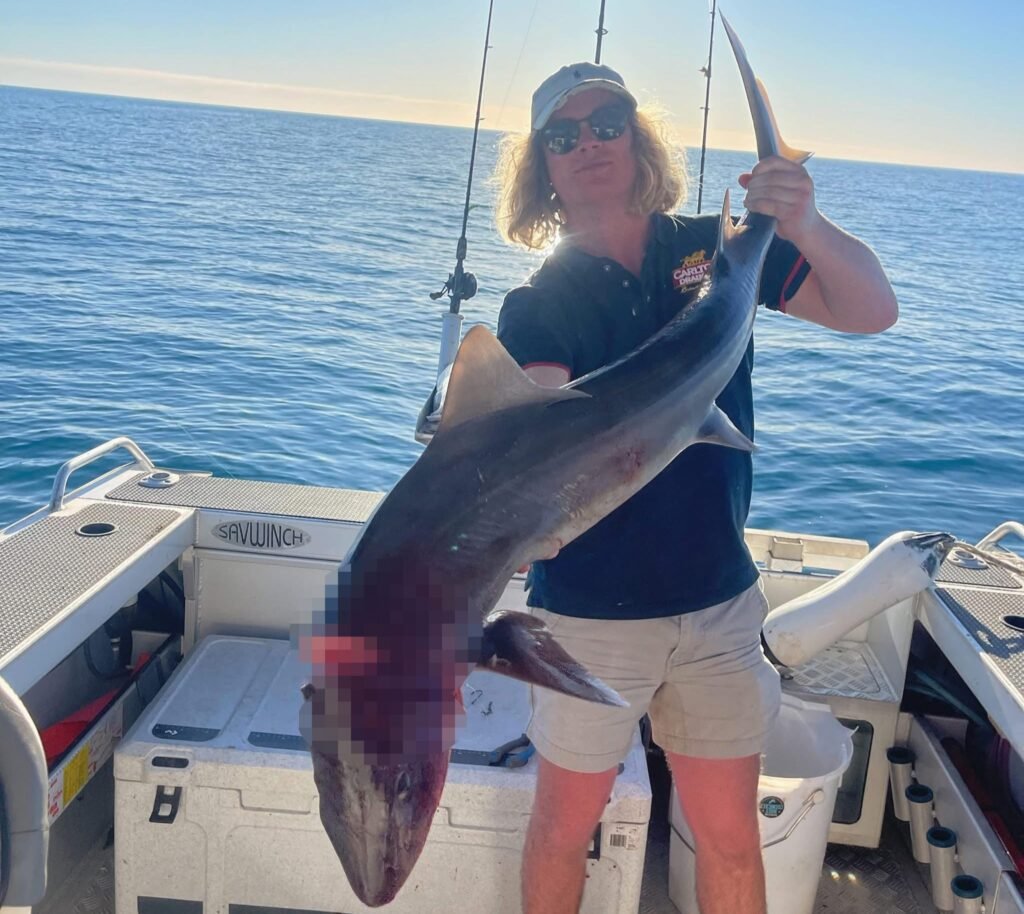 A five-metre great white shark circled a tiny fishing boat three times off the South Australian coast