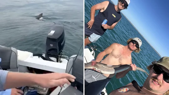 A five-metre great white shark circled a tiny fishing boat three times off the South Australian coast
