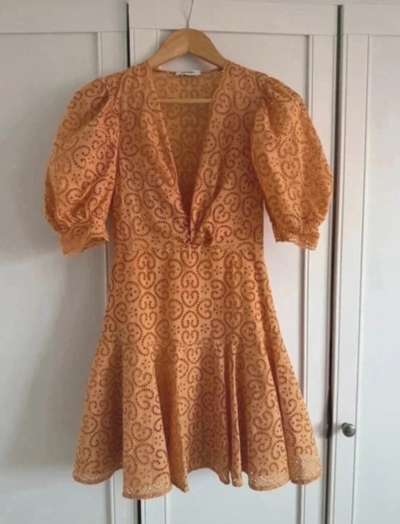 A TikToker from Worcester picked up a £329 Sandro dress for £3 in a charity shop