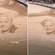 Beach artist Fred Brown marked Sir David Attenborough's 100th birthday