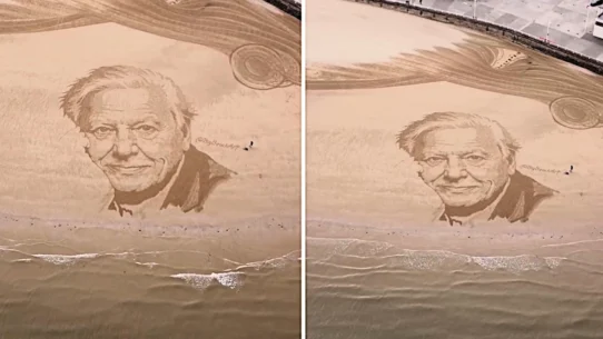 Beach artist Fred Brown marked Sir David Attenborough's 100th birthday