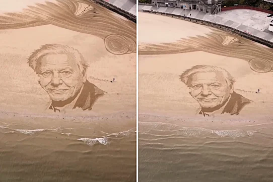Beach artist Fred Brown marked Sir David Attenborough's 100th birthday
