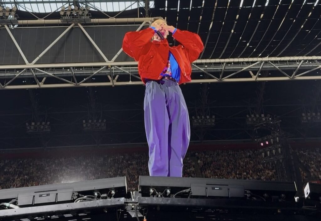 Harry Styles superfan Celine Buis paid €345 for VIP standing at his Amsterdam opening night