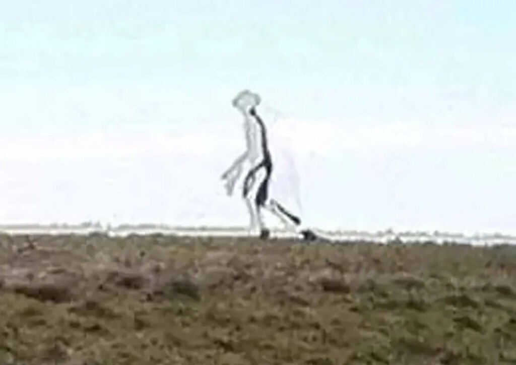 A Taiwan ranger photographed a transparent mantis-headed figure on his iPhone 4 in 2011