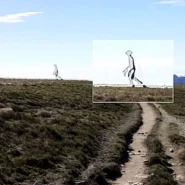 A Taiwan ranger photographed a transparent mantis-headed figure on his iPhone 4 in 2011