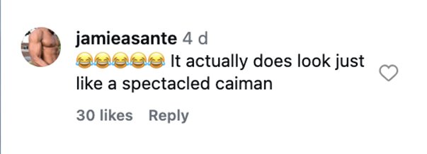 Social media comment on the post
