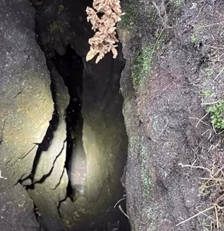 Maisy the 12-year-old Staffie cross dropped 20ft into a hidden pothole on the North York Moors