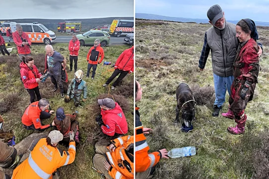 Maisy the 12-year-old Staffie cross dropped 20ft into a hidden pothole on the North York Moors