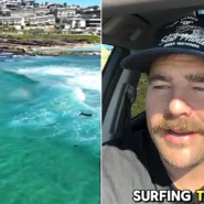 A suspected 3.5m great white swam within a metre of bodyboarder Luke Petersen at Curl Curl Beach