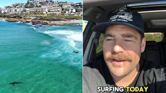 A suspected 3.5m great white swam within a metre of bodyboarder Luke Petersen at Curl Curl Beach