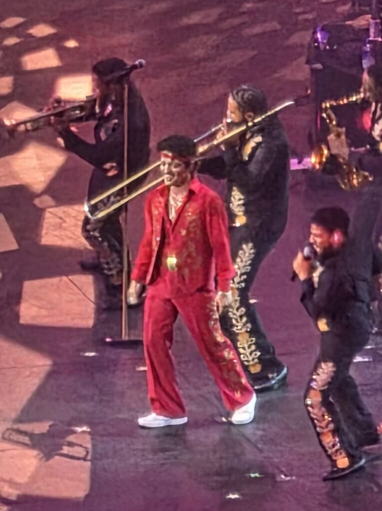 A fan in Wembley's £190 golden circle threw a full pint at Bruno Mars mid-show