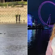 A runner filmed a dolphin in the Thames and called it a sign from the universe