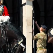 Viral footage of a King's Guard horse struggling in the London heatwave has hit 200,000 views