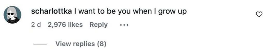 Social media comment on the post of