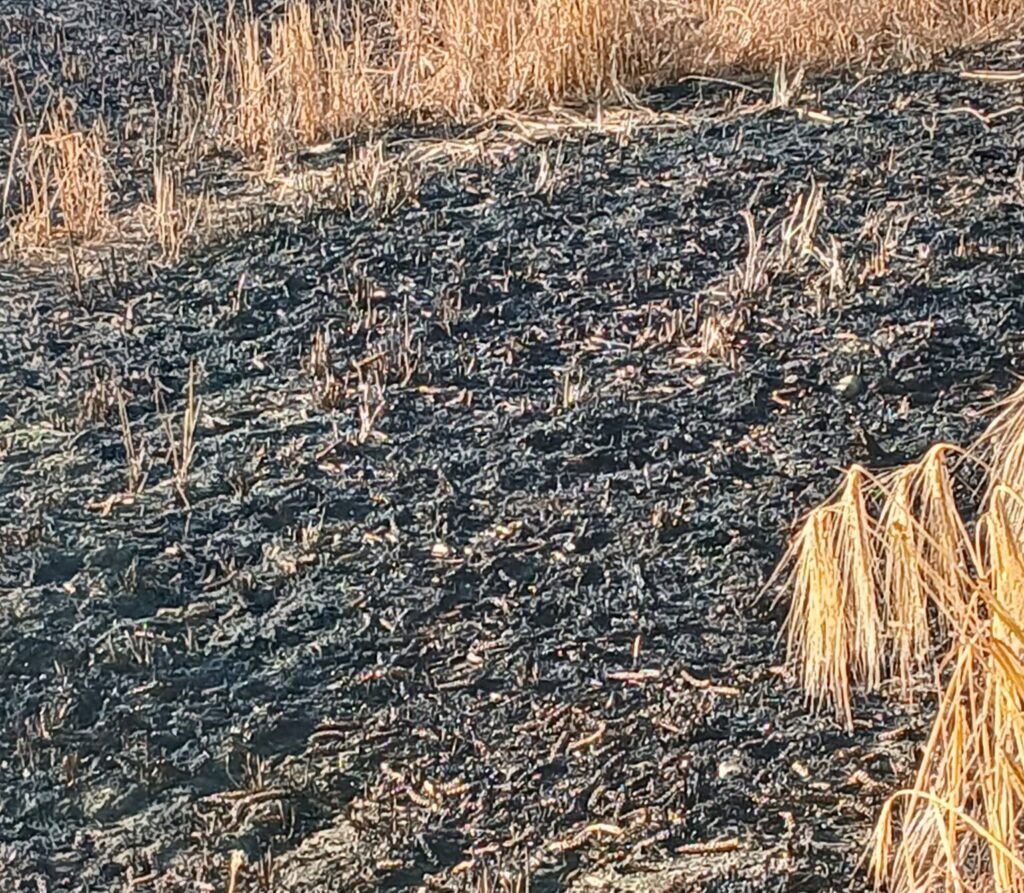 A couple's quiet Durham walk ended in a wildfire the size of 14 football pitches.