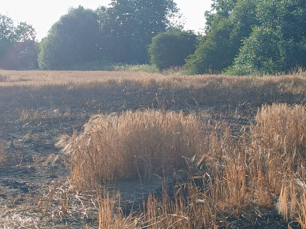 A couple's quiet Durham walk ended in a wildfire the size of 14 football pitches.
