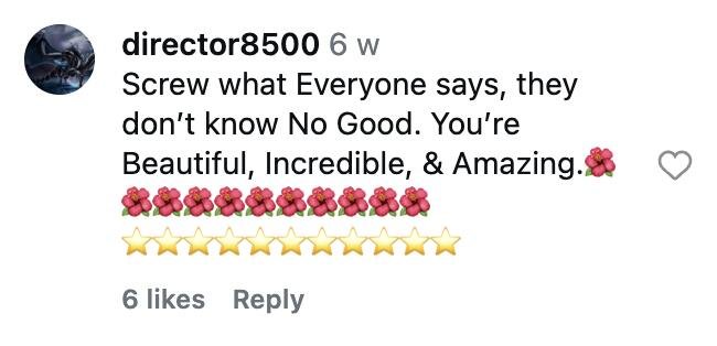 Social media comment on the post