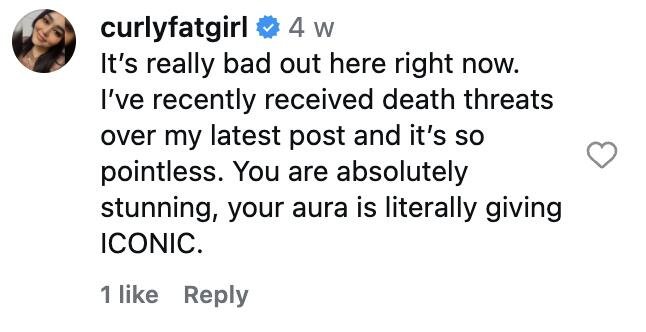 Social media comment on the post