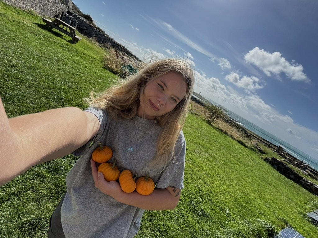 A Cardiff couple swapped city rent for warden life on Ynys Enlli, an off-grid Welsh island with four residents