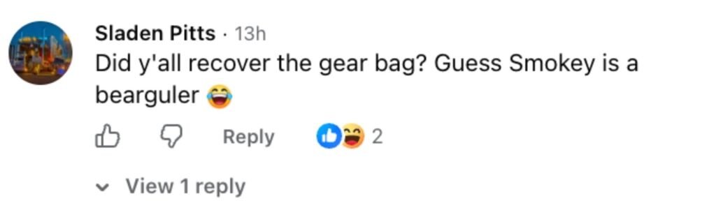 Social media comment on the post